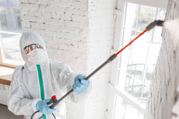 Best Mold Odor Removal Services  in Montclair State University, NJ
