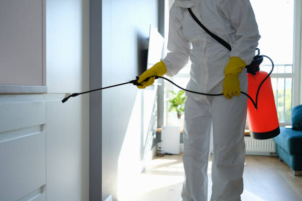 Best Mold Remediation for Healthcare Facilities  in Montclair State University, NJ