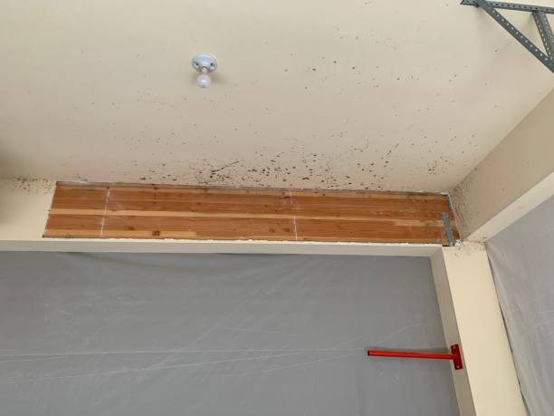 Best Mold Prevention Services  in Montclair State University, NJ