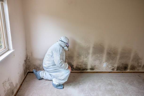Best Mold Documentation for Insurance Claims  in Montclair State University, NJ