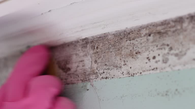 Mold Remediation for Vacation Homes in Montclair State University, NJ